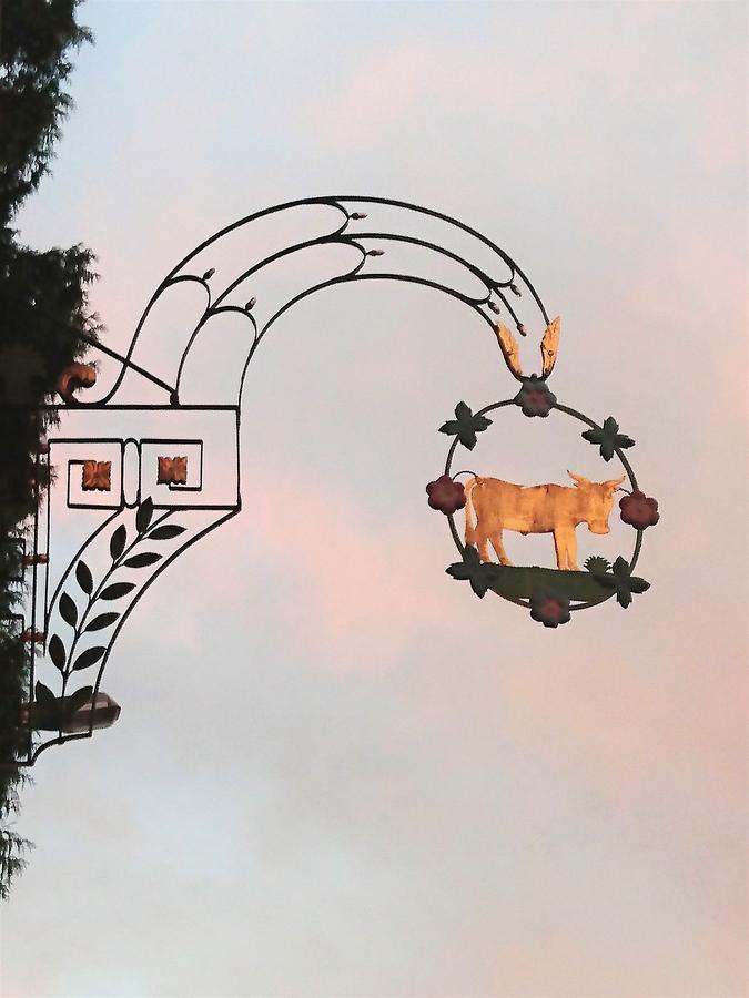 Gasthaus Zum Ochsen Neuhaus エクステリア 写真